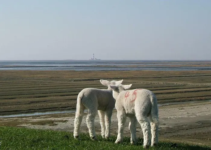 Appartement Haus Georgi